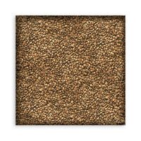 Coffee And Chocolate - Stamperia Single-Sided Paper Pad 8"X8" 22/Pkg