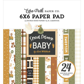 Special Delivery Baby - Echo Park Double-Sided Paper Pad 6"X6" 24/Pkg
