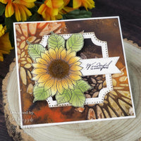 Singles Sunflower Rays  Woodware Clear Stamp 4"X6" by Creative Expressions