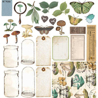 Nature Study - 49 And Market Collection Pack 12"X12"
