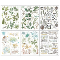 Foliage - Nature Study Rub-Ons 6"X8" 6/Sheets