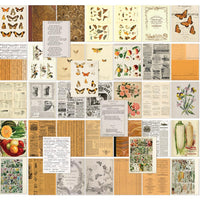 Color Swatch: Peach - 49 And Market Collage Sheets 6"x8" 40/Pkg