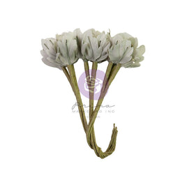 Timeless Tales, Lost In Wonderland - Prima Marketing Paper Flowers 9/Pkg