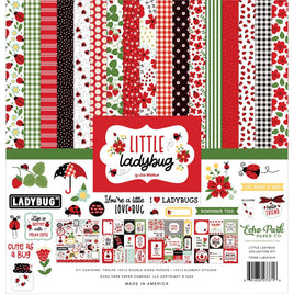Little Ladybug - Echo Park Collection Kit 12"X12"