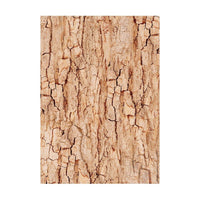 Woodland - Stamperia Assorted Rice Paper Backgrounds A6 8/Sheets
