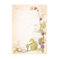 Woodland - Stamperia Assorted Rice Paper Backgrounds A6 8/Sheets