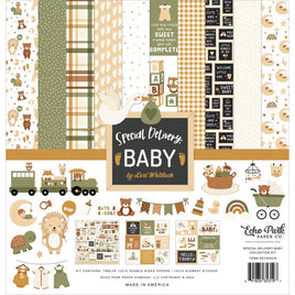 Special Delivery Baby - Echo Park Collection Kit 12"X12"