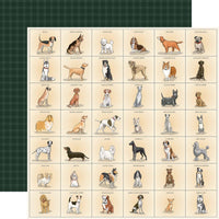 Best In Show - Carta Bella Collection Kit 12"X12"