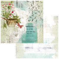 Birdsong - 49 & Market Collection Pack 12"X12"