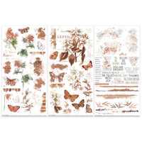 Color Swatch: Terracotta - 49 And Market Rub-On Transfer Set