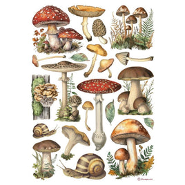 Mushrooms - Stamperia Assorted Rice Paper A4 6/Sheets