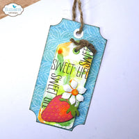 Tag Variety Pack - Elizabeth Craft Metal Dies