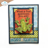 Beetles and Bugs - Elizabeth Craft Stamp And Die Set
