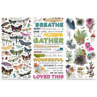 Essential, Curiosities In Willow Grove - 49 And Market Rub-On Transfer Set