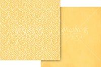 Scenic Route - Graphic 45 Collection Pack 12"X12"