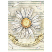 Daisy Art - Stamperia Rice Paper A6 8/Pkg