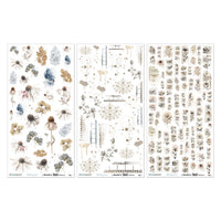Faded Memory Lane - 49 and Market Essential Rub-On Transfer Set 6"X12"