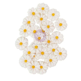 White Meadow - Prima Among the Wildflowers Paper Flowers 24/Pkg