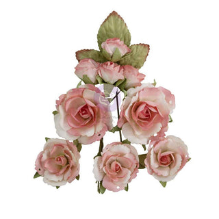 Garden Rose Blush - Prima Paper Flowers 10/Pkg