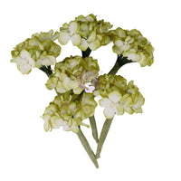 Garden Hydrangea Mist - Prima Paper Flowers 5/Pkg