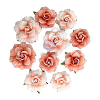 Blush Harvest - Prima Paper Flowers 10/Pkg