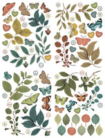 Arden Creative Studio Amber Ledgers Foliage Laser Cuts