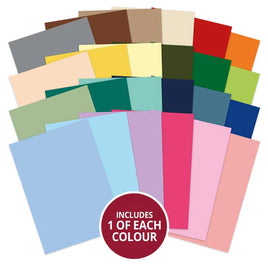 Beautiful Birds Adorable Scorable Selection