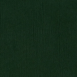 Aspen Bazzill Mono Cardstock 12"X12"