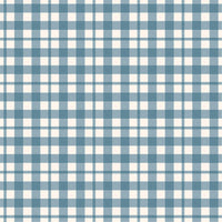 Rodeo Plaid