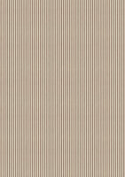 Typographic Creative Pad A4 9/Pkg