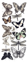 Typographic Art Stickers Transparent Adhesive Sheets 5/Pkg