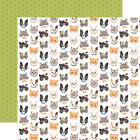 Cat Lover - Echo Park Collection Kit 12"X12"