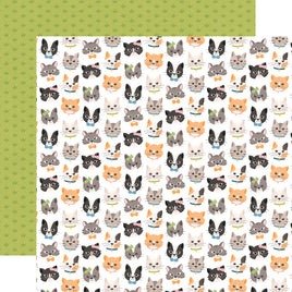 Live Love Meow - Echo Park Cat Lover Cardstock 12"X12"