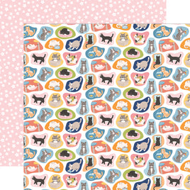 Cute Cats - Echo Park Cat Lover Cardstock 12"X12"