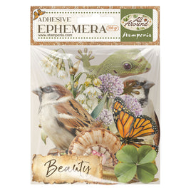 All Around - Stamperia Ephemera