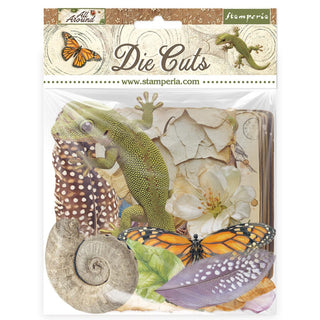 All Around - Stamperia Die Cuts