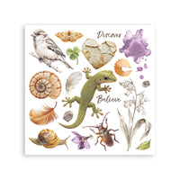 All Around - Stamperia Assortment Rub-On 6.1"x6.1" - 6/Pkg