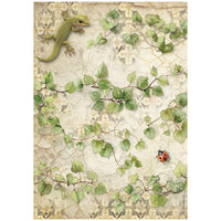 All Around - Stamperia Rice Paper A4 6/Pkg