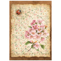 All Around - Stamperia Rice Paper A6 8/Pkg