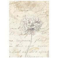 All Around - Stamperia Rice Paper Backgrounds A6 8/Pkg