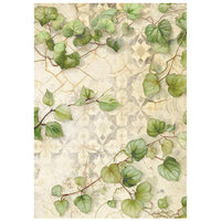 All Around - Stamperia Rice Paper Backgrounds A6 8/Pkg