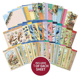 Beautiful Birds Designer Deco-Large Collection