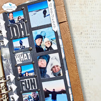 Window Overlay 1 - Elizabeth Craft Metal Die