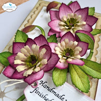 Lenten Rose - Elizabeth Crafts Cutting Die