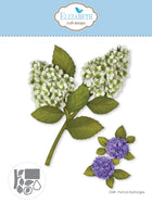 Panicle Hydrangea - Elizabeth Crafts Cutting Die