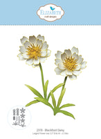 Blackfoot Daisy - Die