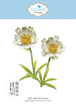 Blackfoot Daisy - Die