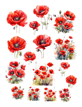 Canadian Poppies Florals Ephemera