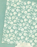 Slice of Life - Graphic 45 Patterns & Solids Collection Pack 8.5"X11"
