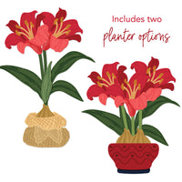 Lovely Layers: Amaryllis - Honey Cuts Die